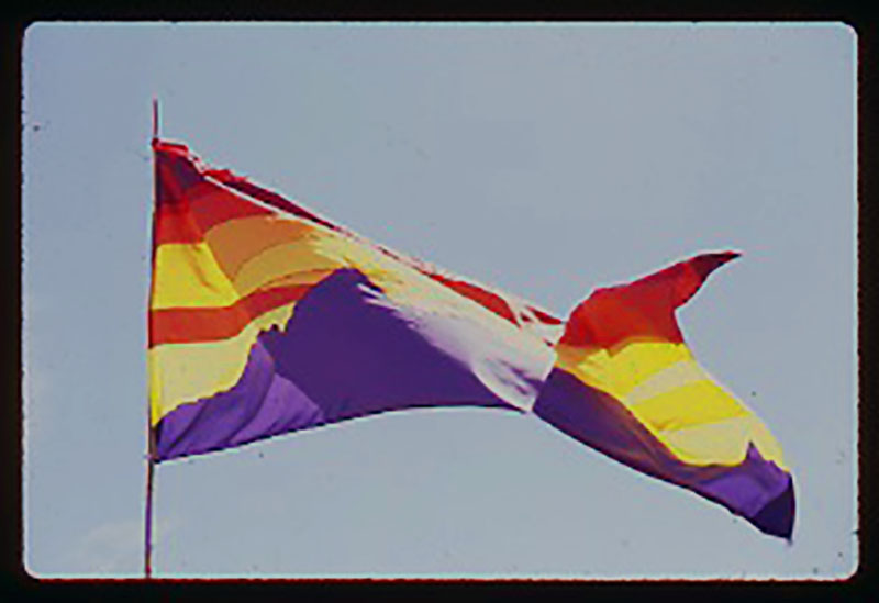 A colorful flag flying in the wind on top of a pole.