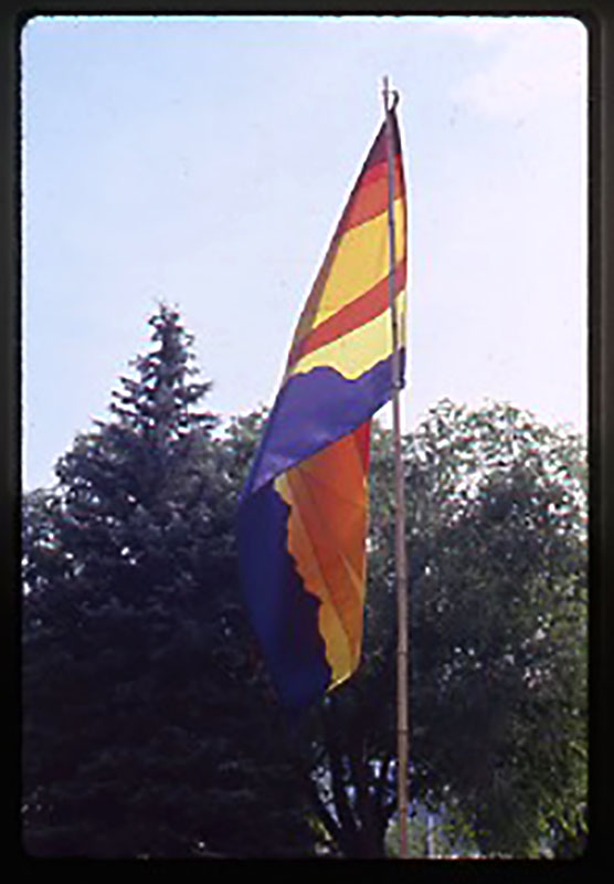 A flag is flying in the wind near some trees.
