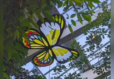 A butterfly kite hanging from the ceiling of a building.