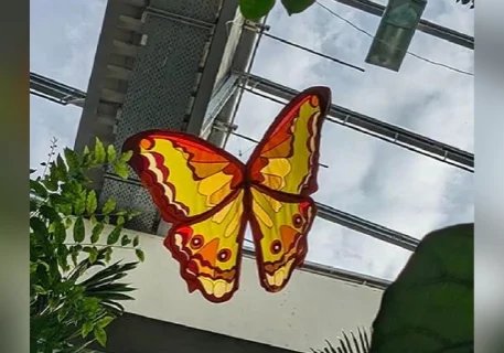 A butterfly that is hanging from the ceiling.