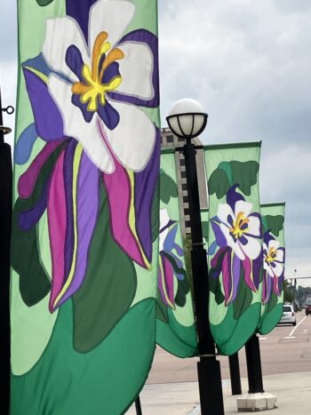 Beautiful Pole Banners and Flags Colorado Springs, CO light pole banners for the Palmer Center in historic downtown.