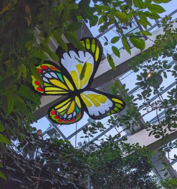 Large, colorful butterfly decoration hangs among green plants in an indoor garden with a glass ceiling.