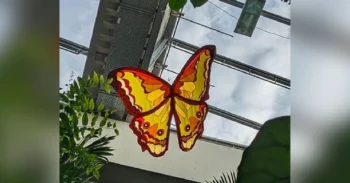 Large, colorful butterfly decoration suspended indoors near plants and a glass ceiling.